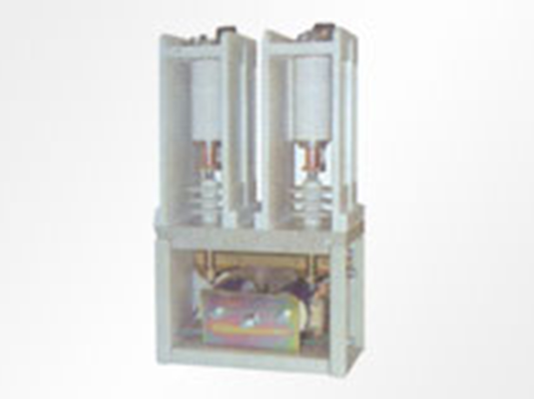 二极交流高压真空接触器